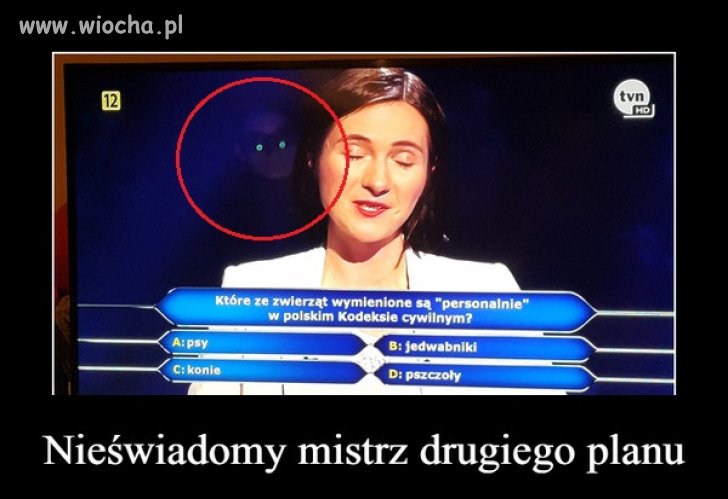 Milionerzy wciąż zaskakują