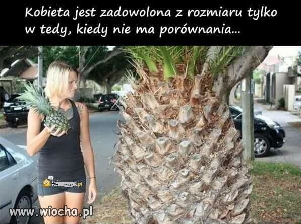 Rozmiar i jego znaczenie