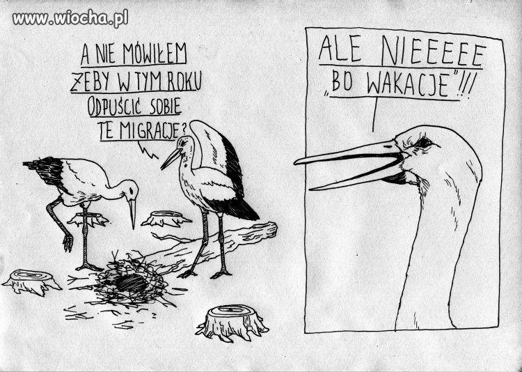 Smutna historia