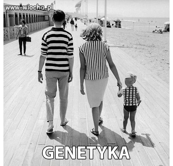 Genetyka...