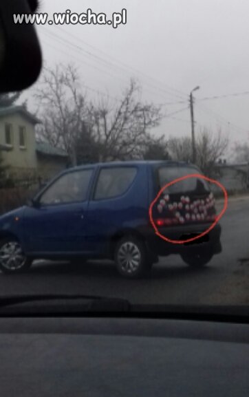 Widać 
