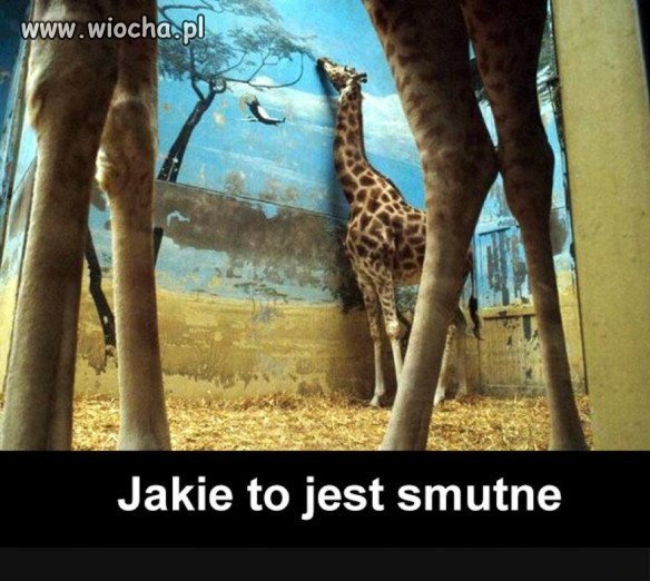 Smutny widok
