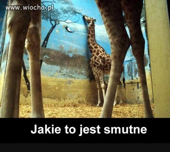 Smutny widok