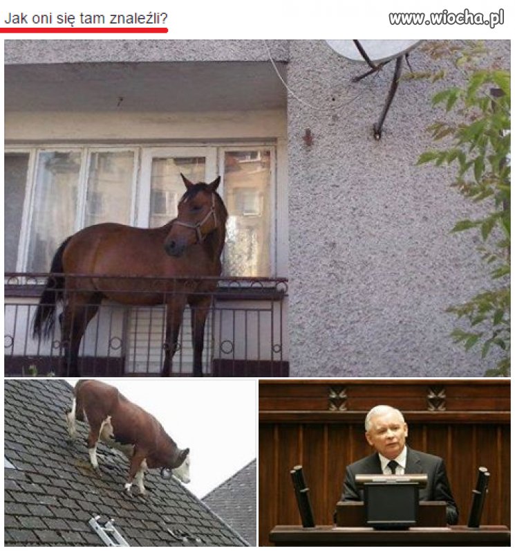 Dobre pytanie. 