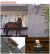 Dobre pytanie. 