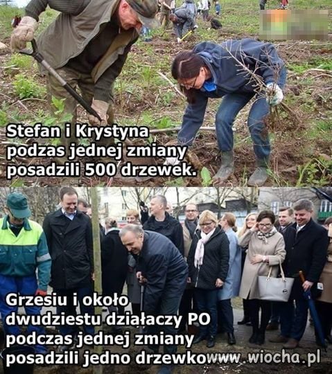 Taka różnica 