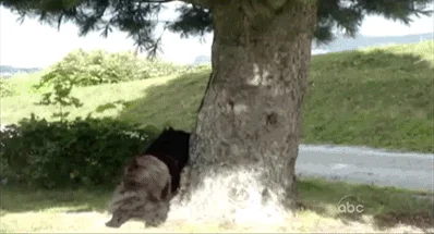 Ha ha ha.