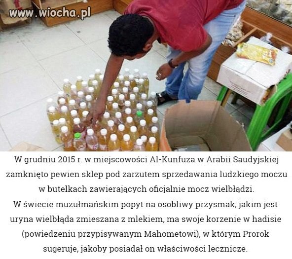 Podrabiali mocz wielbłąda