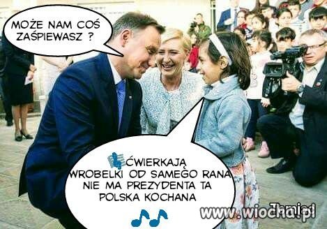 ćwierkają wróbelki od samego rana 