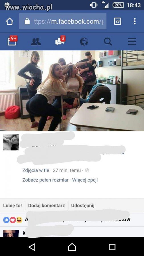 Polskie Gimby 