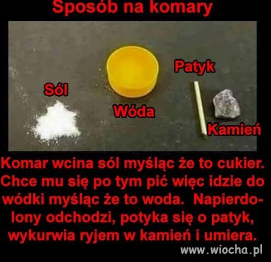 Co trzeba mieć w głowie