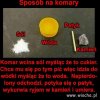 Co trzeba mieć w głowie