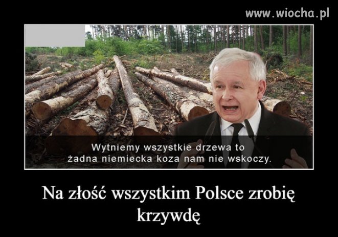 No to jasne kto inspirował Szyszkę ...