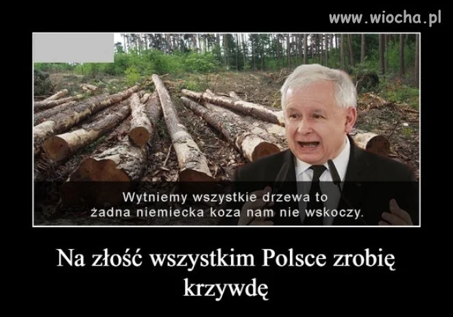 No to jasne kto inspirował Szyszkę ...