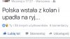 Cytat dnia