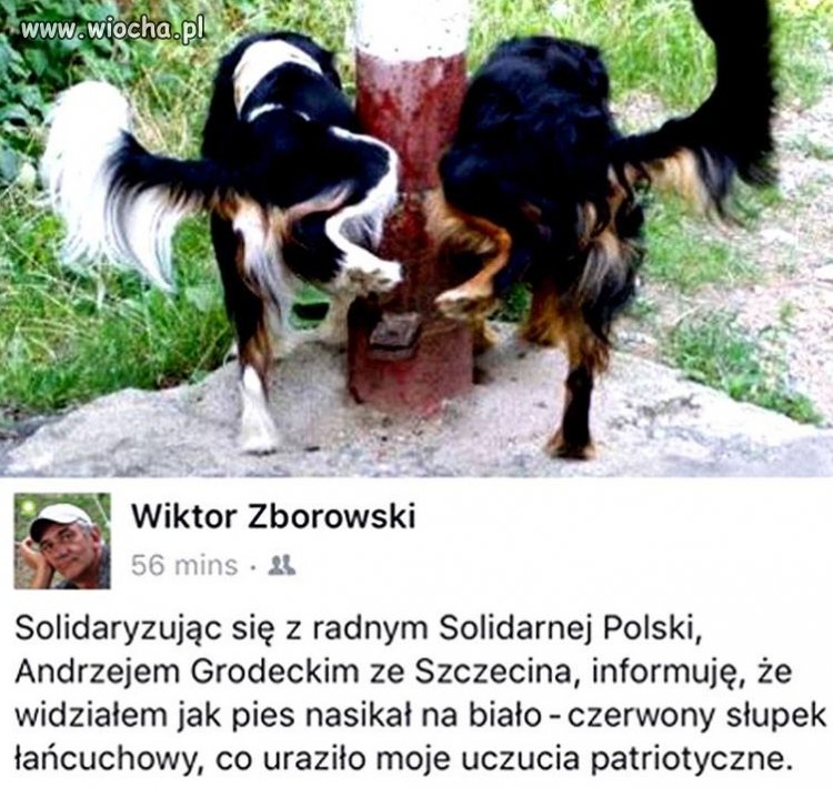 Moje też