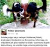 Moje też