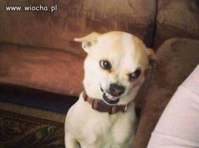 Kochanie? ?