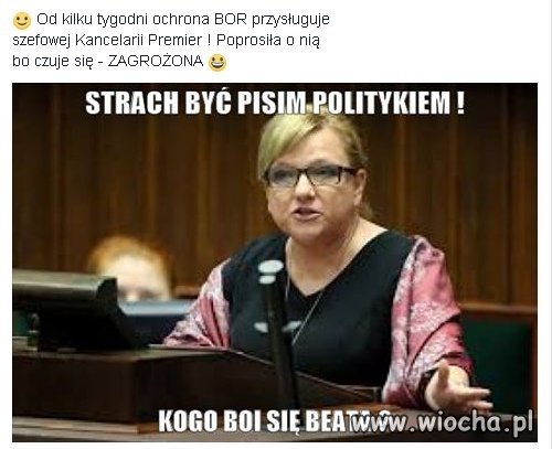 Strach przed suwerenem