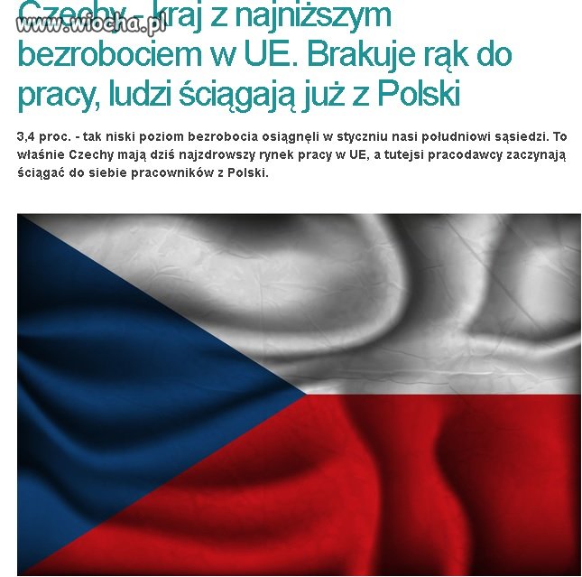 A w Polsce komuna dotuje prace każdego Ukraińca.