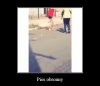 Pies obronny