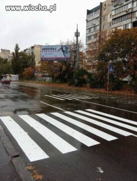 Zaufaj mi, wiem co robie