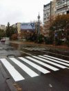 Zaufaj mi, wiem co robie
