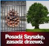 Posadziłeś drzewo? Wyciąłeś? Ok! Ale dlaczego