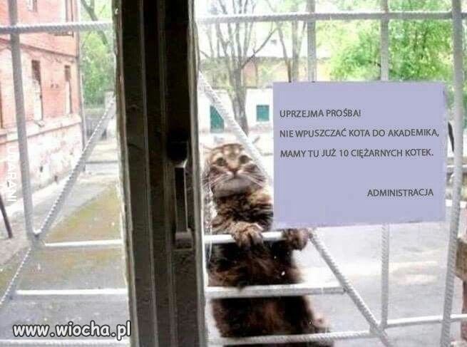 Administracja prosi