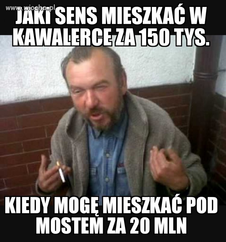 Zimna kalkulacja