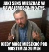 Zimna kalkulacja