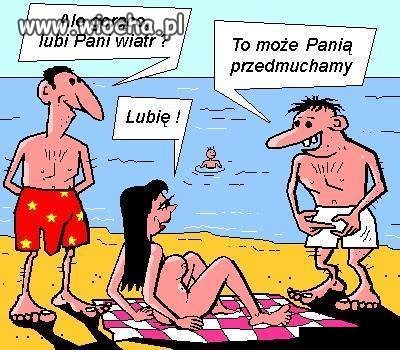 Wiaterek
