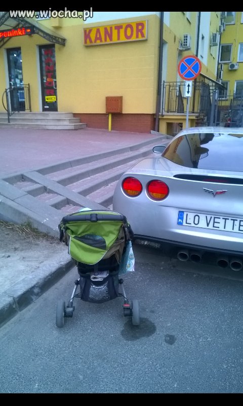 Żebro frajer z Chełma 