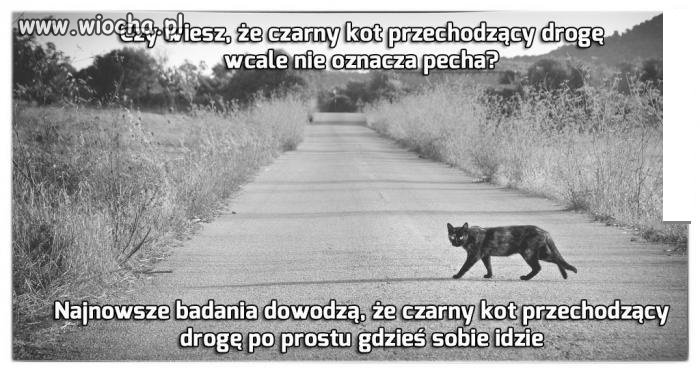 Amerykańscy naukowcy jak zawsze stają na wysokości.