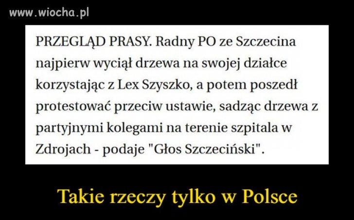 Hipokryta