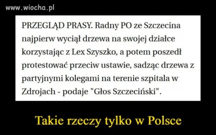 Hipokryta