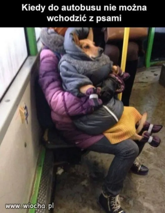 Kamuflaż