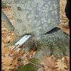 Ktoś sobie odpuścił 
