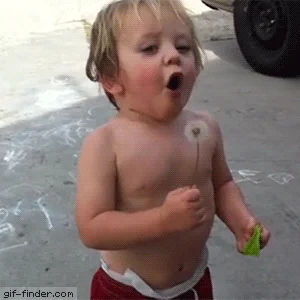 Ha ha ha...