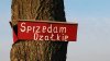 Polszczyzna 