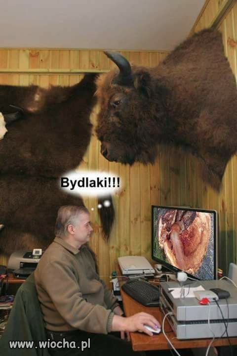 Bydlaki!
