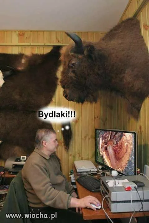 Bydlaki!