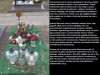 Skandal przez duże "S"