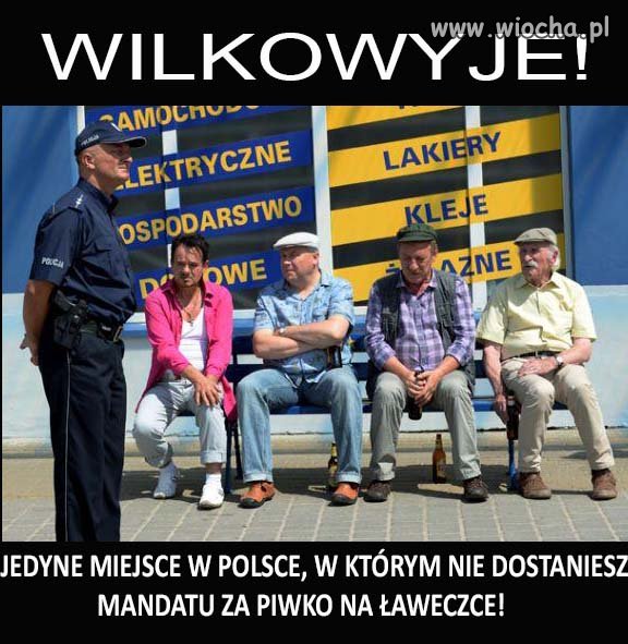 WILKOWYJE