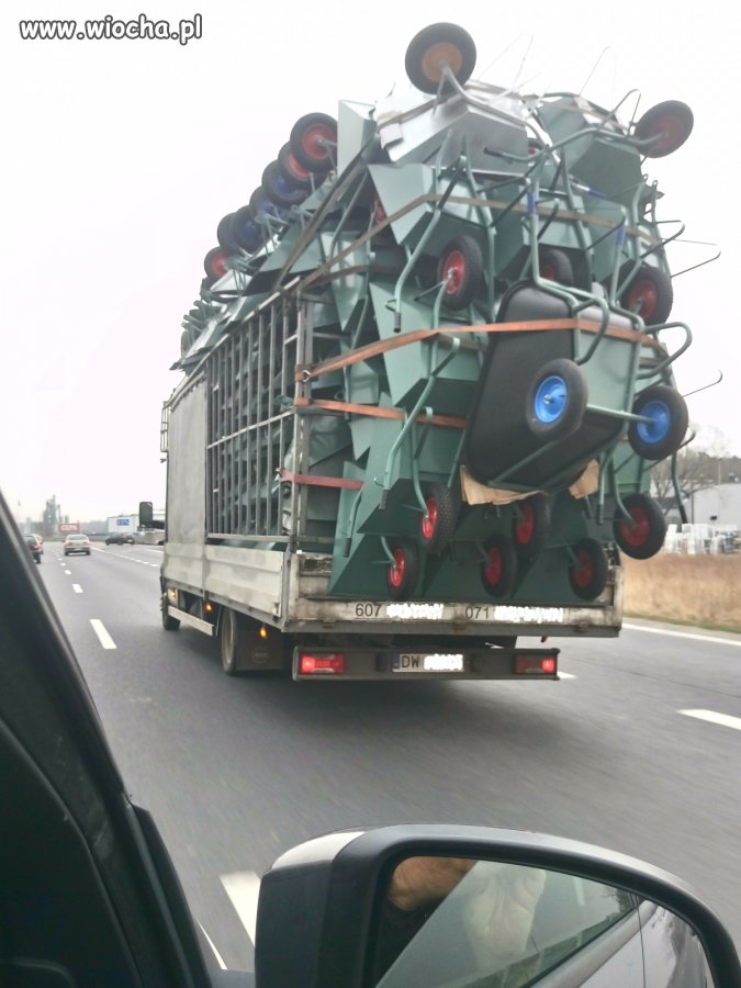 Polak potrafi...