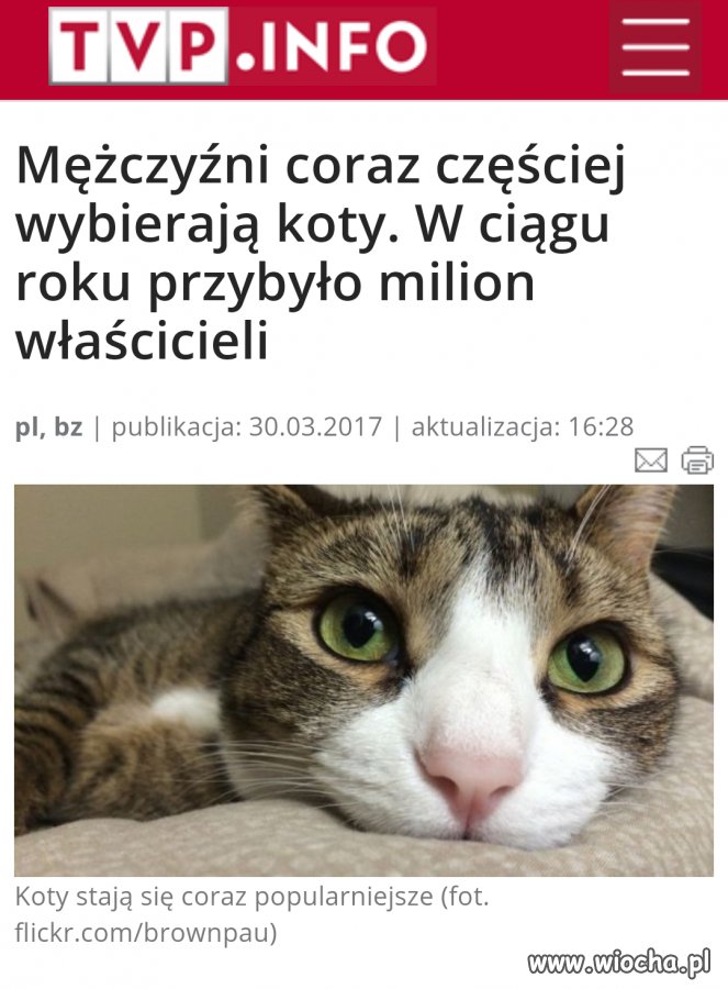 Tymczasem w  reżimowej TV