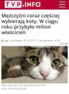 Tymczasem w  reżimowej TV