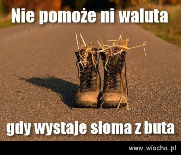 Słoma z butów