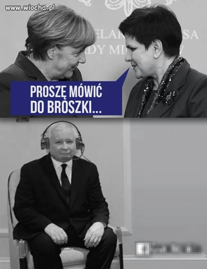 Opis