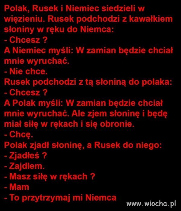 Żarcik